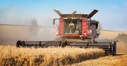 Obowiązek każdego rolnika z ziemią powyżej 1 ha. Tyle wynosi kara
