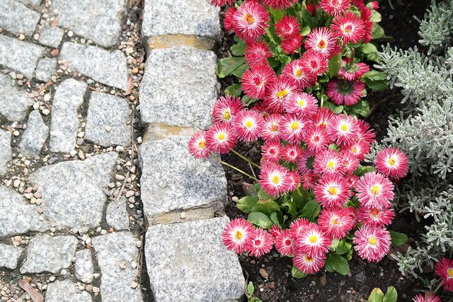 Samsung NX300 – solidny bezlusterkowiec o wielkich możliwościach [test] 48
