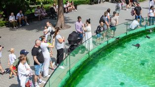 Zostawiają w Polsce 10 razy więcej pieniędzy niż Czesi czy Słowacy