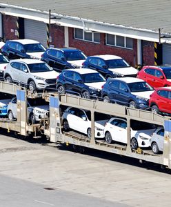 Polacy jak Chińczycy. Nie lubią dopłacać za dodatkowe systemy w swoich autach