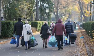 To hit cmentarzy. "Najlepszym rozwiązaniem byłoby ich wycofanie"
