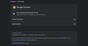 Google Chrome 86 dostępny do pobrania. Są nowości z zakresu bezpieczeństwa