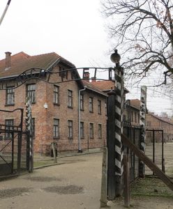 Narodowy Dzień Pamięci Ofiar Niemieckich Nazistowskich Obozów Koncentracyjnych i Obozów Zagłady. Historia, obchody, wydarzenia - co warto wiedzieć?