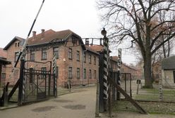 Narodowy Dzień Pamięci Ofiar Niemieckich Nazistowskich Obozów Koncentracyjnych i Obozów Zagłady. Historia, obchody, wydarzenia - co warto wiedzieć?