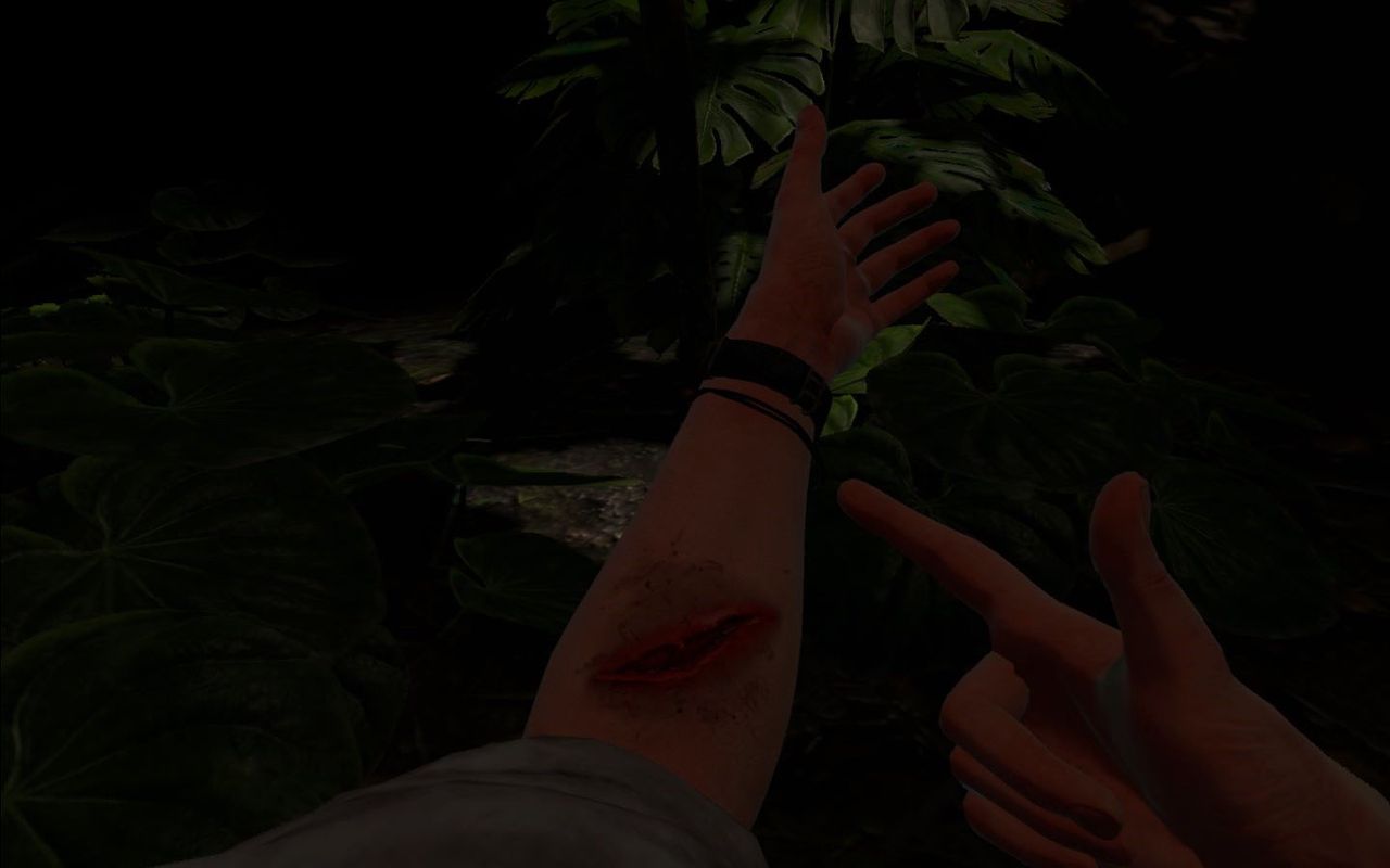 Green Hell VR Oculus - rana na ręce