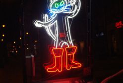 Katowice. Nowa atrakcja, miasto przypomina o swojej neonowej przeszłości