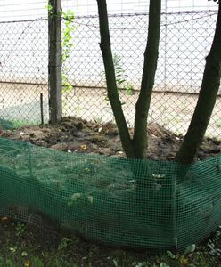 Gminy rozdają darmowe kompostowniki. Sprawdź, czy się załapiesz