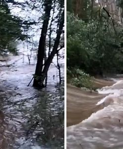 Wał nie wytrzymał. Fala dociera do Krzywej