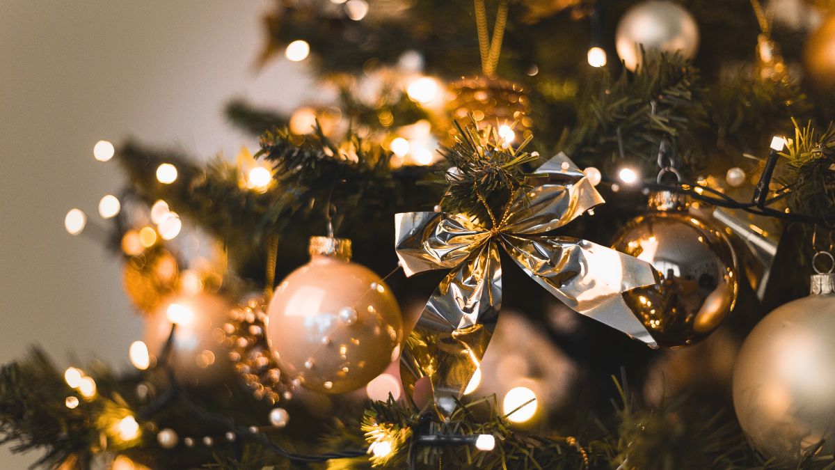 Żywa choinka nabrała nowego znaczenia