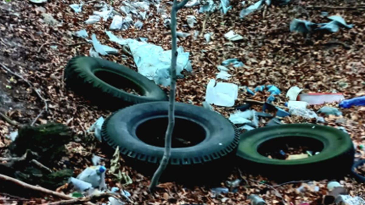 Leśnicy opublikowali zdjęcie zaśmieconego lasu.