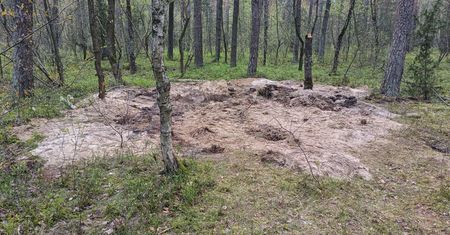 Tutaj spadł tajemniczy obiekt. Pierwsze zdjęcia z miejsca zdarzenia