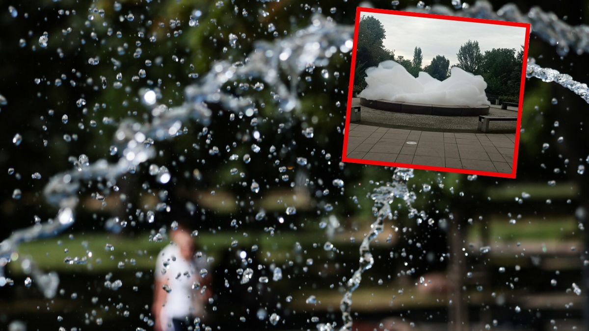  Tajemnicza chmura w parku w Szczecinie. "Kosztowny żart"