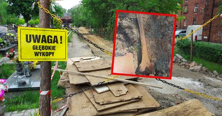 Makabra na cmentarzu na Śląsku. "Kość udowa, piszczelowa, miednica"