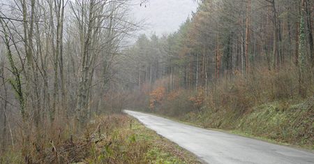 Uważaj na czarny lód - niebezpieczeństwo, którego nie widać