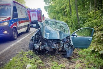 Woj. wielkopolskie: Pijana 21-latka uderzyła w drzewo na DK10 – grozi jej więzienie