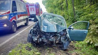 Woj. wielkopolskie: Pijana 21-latka uderzyła w drzewo na DK10 – grozi jej więzienie