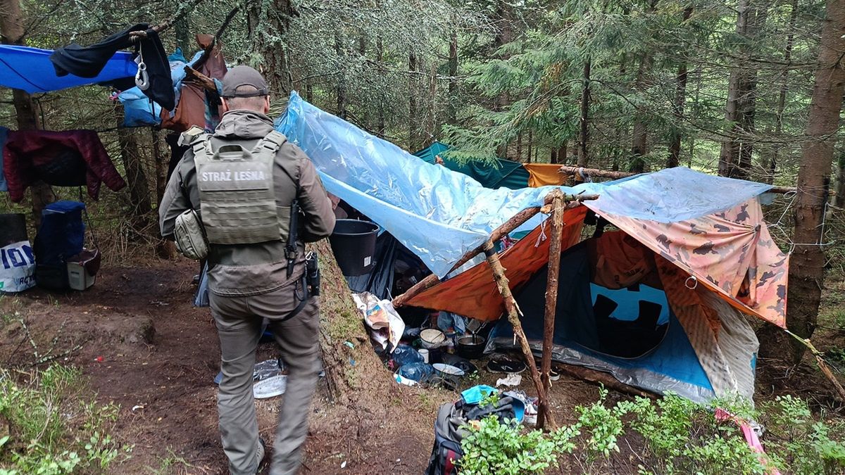 Straż Leśna nakazała, zbieraczom jagód, opuszczenie lasu.