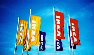Ikea otworzy własną sieć restauracji? Jest taki pomysł