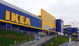 Nowość w ofercie Ikea. Meble przez internet