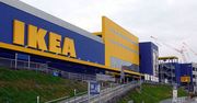 Szwedzi mają z nami dobrze. Ikea sprzedała w Polsce więcej niż przed rokiem