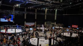 Ponad 700 walk stoczono podczas Mistrzostw Polski MMA 2025
