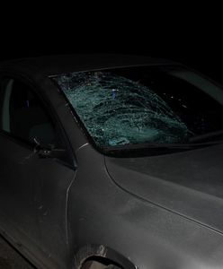 Mazowieckie. Pijany kierowca śmiertelnie potrącił 14-latkę