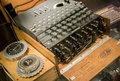 Oryginalna Enigma trafi do polskiego muzeum. Jest warta 200 tys. dolarów