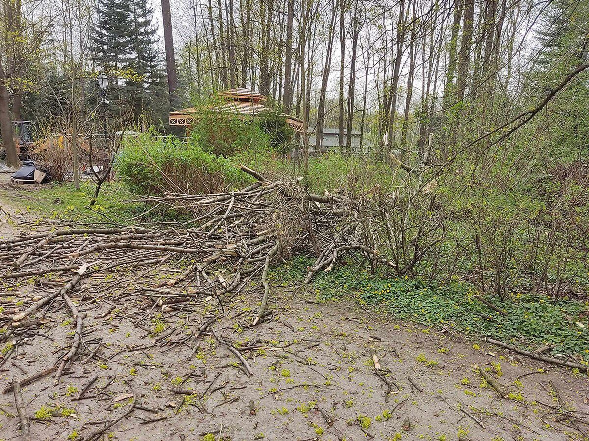 Silny wiatr w regionie. W Białych Błotach konar spadł na ogrodzenie jednej z nieruchomości
