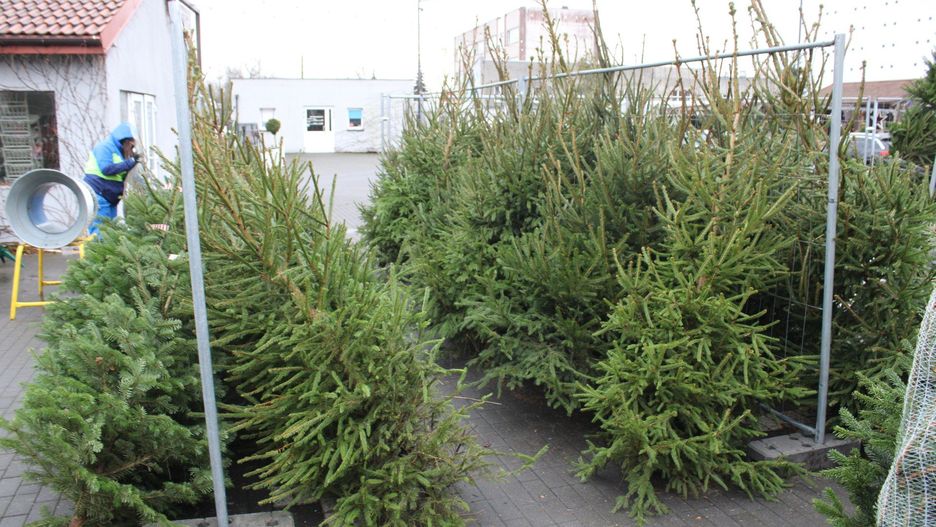 Miejskie stoiska to wygodniejsza, ale nieco droższa opcja