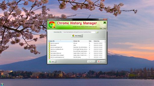 Chrome History Manager