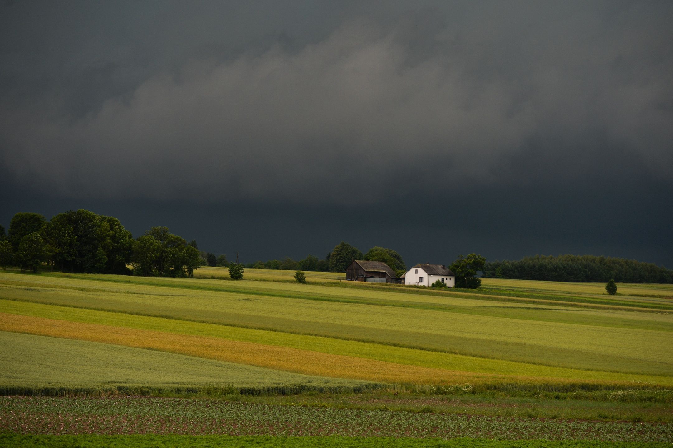Pył skalny dodatkową bronią przeciw zmianie klimatu. 