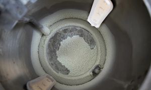 Wcale nie ocet. Wlej do czajnika, a kamień odpadnie płatami