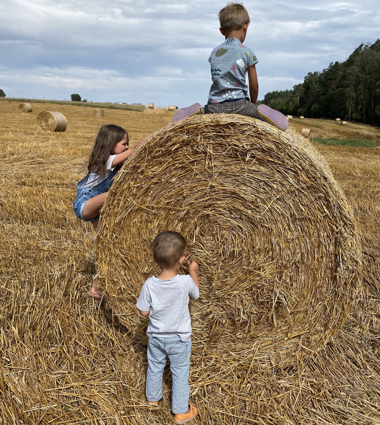Józia, Henio i Kazio na wakacjach