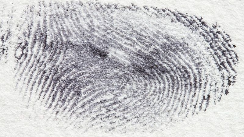 odcisk palca