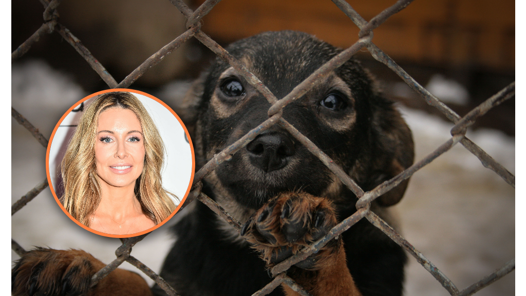 Małgorzata Rozenek dowiedziała się o sprawie od Ewy Minge