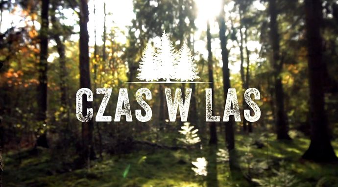 Czas w las 2