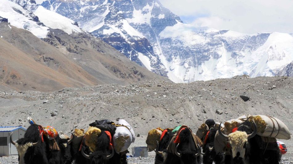 Getty Images / Cui Jun/Visual China Group / Mount Everest