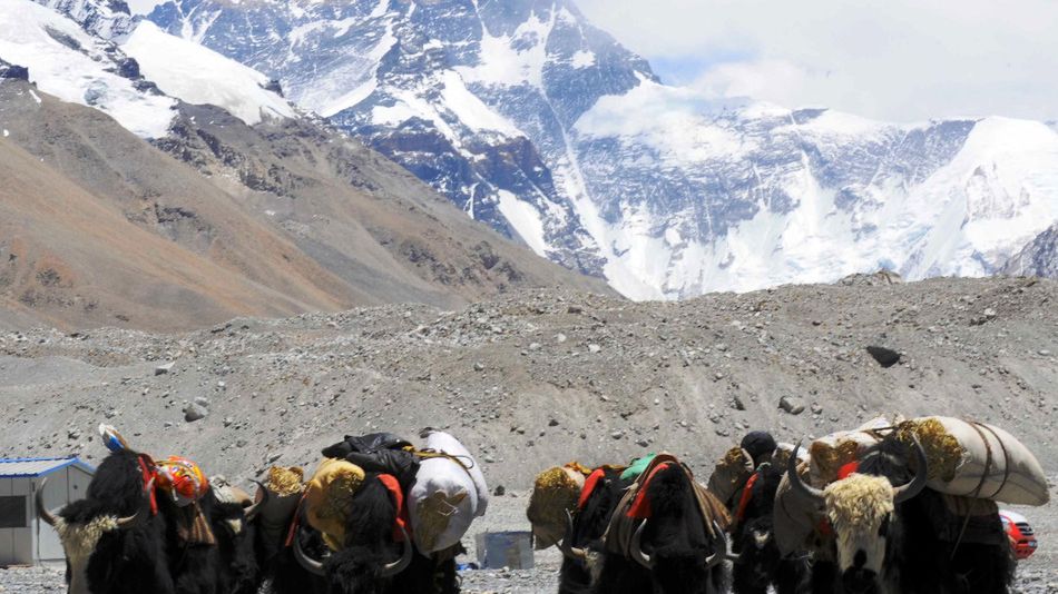 Zdjęcie okładkowe artykułu: Getty Images / Cui Jun/Visual China Group / Mount Everest