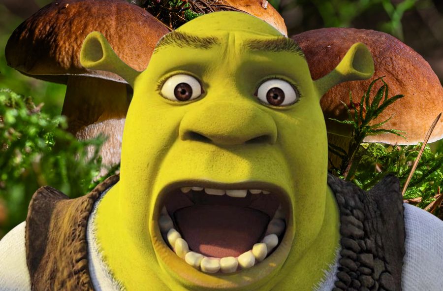 Z jaką postacią ze "Shreka" pójdziesz na grzyby? [PSYCHOTEST]