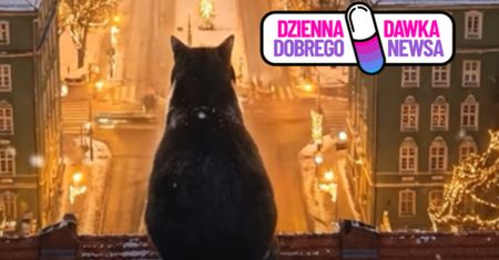 Szczecinianin stworzył wyjątkowe nagranie. Film z Gackiem podbija sieć