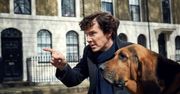 Serialowy "Sherlock" powróci na ekrany? Twórca serialu skomentował doniesienia