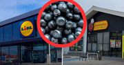 Toksyczne borówki trafiły do polskich sklepów? Lidl i Biedronka zabrały głos