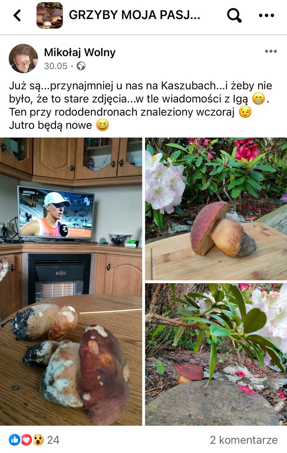 Internauci chwalą się znaleziskami 
