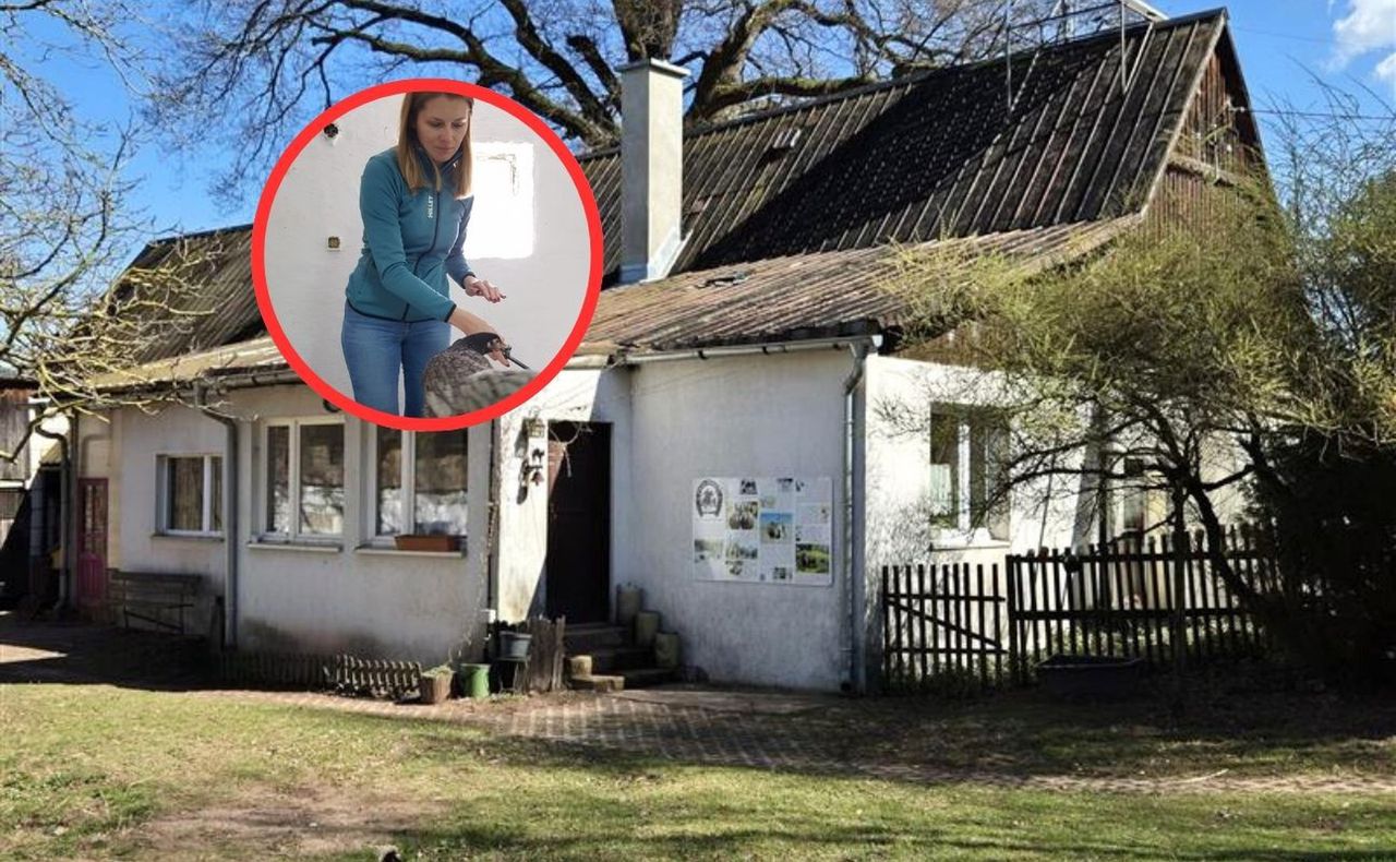 Pojechałam szkolić kurczaki. Na miejscu się zdziwiłam