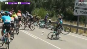 Kolarstwo. Vuelta a Burgos. Media: Gijs Leemreize stracił palec. Ucierpiał też Rafał Majka [WIDEO]