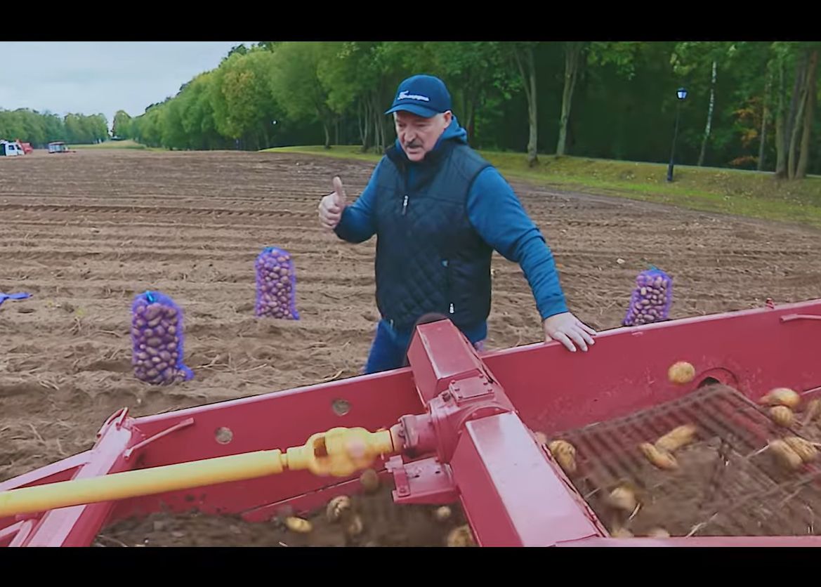 Rąbał drewno, teraz zbiera ziemniaki. Teledysk z udziałem "prezesa"