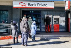 W dużych miastach mieszkają panikarze? "Są przyzwyczajeni do wygodnego życia"
