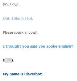Cleverbot vs. polak :)