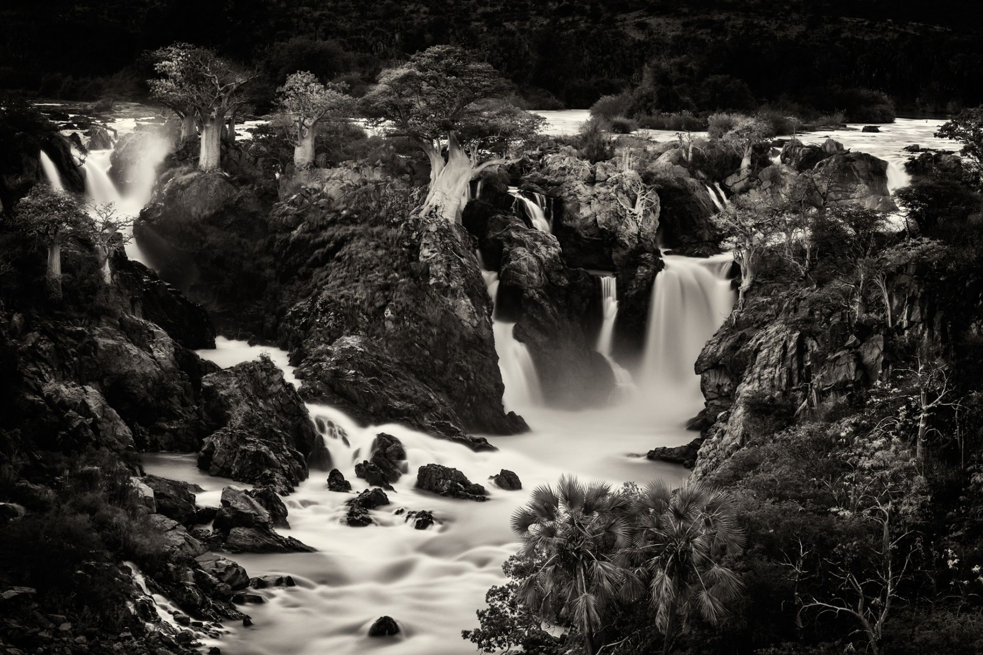 Zachwycająca natura Ziemi na zdjęciach z konkursu Nature Photographer of the Year 2015 13