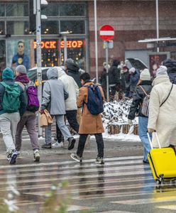 Na co Polacy wydają najwięcej? Są najnowsze dane